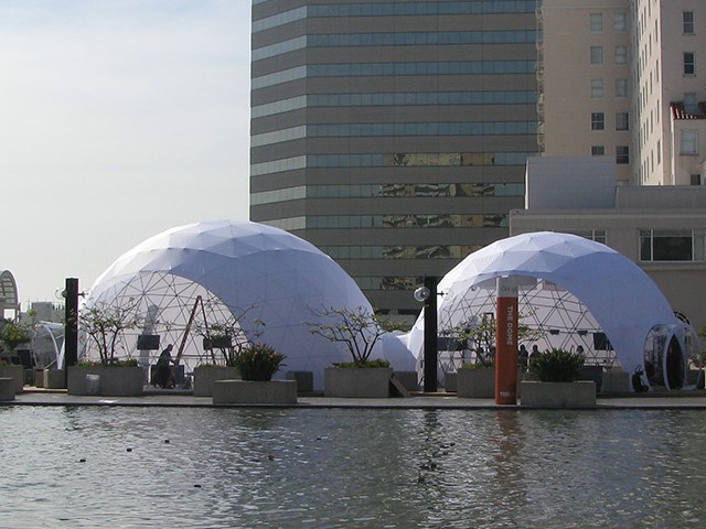 Ted Domes